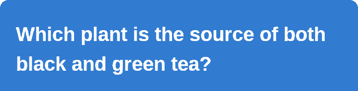 Play the quiz