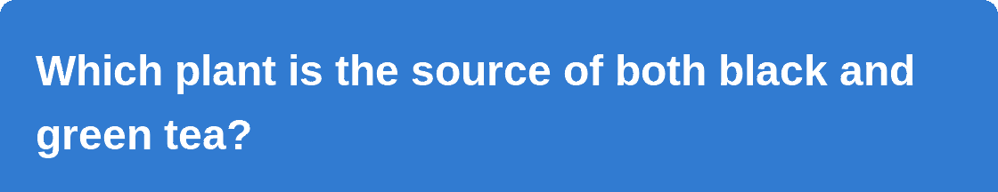 Play the quiz